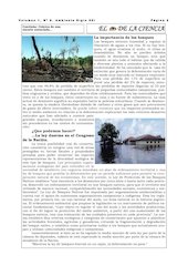 Revista Ambiente Siglo XXI. NÂ° 06. Octubre.pdf - página 3/12