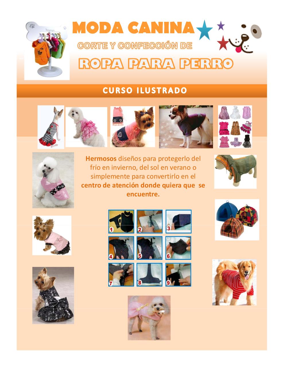 ROPA PARA PERRO  por Personal - Manual de moda canina 1 pdf -  Caja PDF