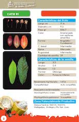 catalogo de clones de cacao FIDA GRUN2018.pdf - página 4/18