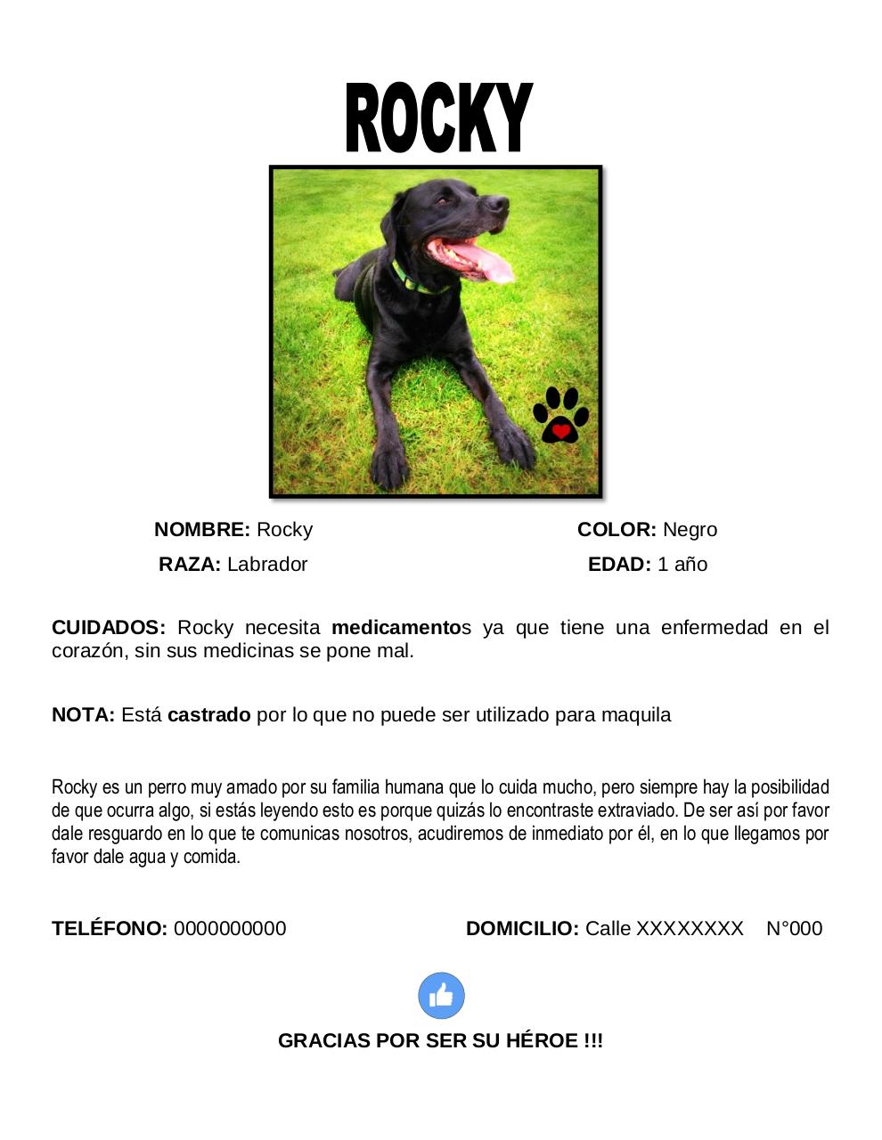 Vista previa del documento rocky.pdf - página 1/1