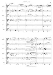 5 - Ammerland - Jacob de Haan - Set of Clarinets.pdf - página 5/12