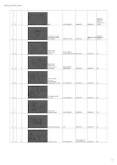 guion_tecnico_krona - Hoja 1.pdf - página 4/12