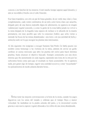 Entrada de las cerdas en el mundo de Amber.pdf - página 6/9